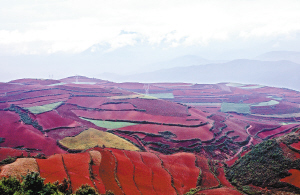 这个年假怎么玩 昆明各县区坚守传统推出“特色菜” 这个年假怎么玩 昆明各县区坚守传统推出“特色菜”