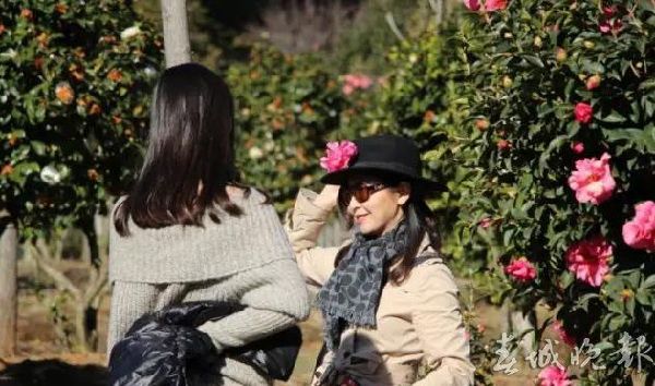 春节,好玩场,云南 春节,好玩场,云南