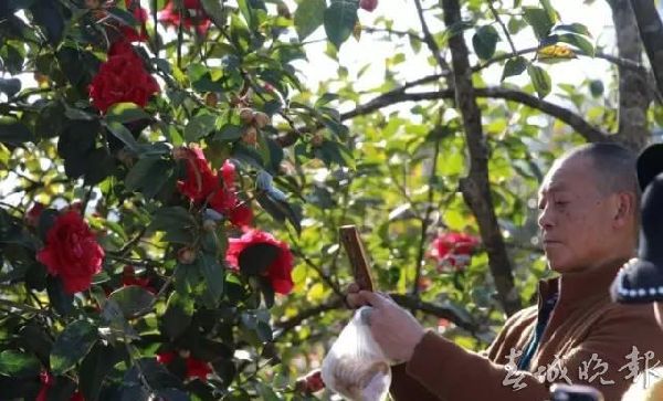 春节,好玩场,云南 春节,好玩场,云南