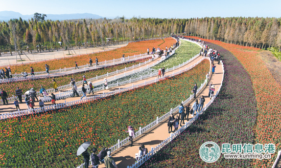 春节长假环滇池湿地垃圾增多 市滇管执法人员责令整改