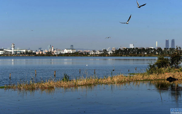 新华社赞滇池治理:“高原明珠”复苏 迎来31年来最好水质 新华社赞滇池治理:“高原明珠”复苏 迎来31年来最好水质