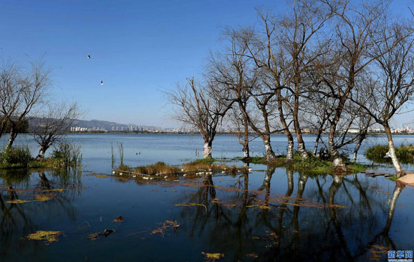 新华社赞滇池治理:“高原明珠”复苏 迎来31年来最好水质 新华社赞滇池治理:“高原明珠”复苏 迎来31年来最好水质
