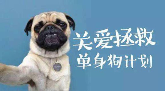 借问情人节如何过 单身狗一言不合放大招