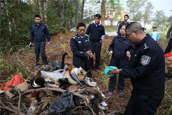 蜂猴巨蜥亚洲鳖 版纳销毁一批收缴野生动物死体及制品