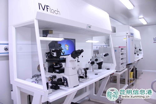 昆明安琪儿医院“试管婴儿”技术正式运行 昆明安琪儿医院“试管婴儿”技术正式运行