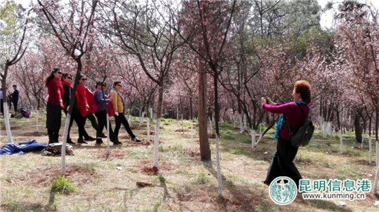 郊野公园版的“三生三世 十里桃花”本周末与游客见面 郊野公园版的“三生三世 十里桃花”本周末与游客见面