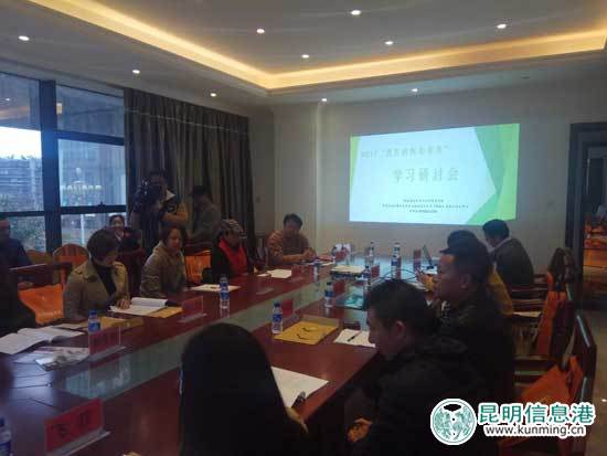 教育,儿童艺术,培训会