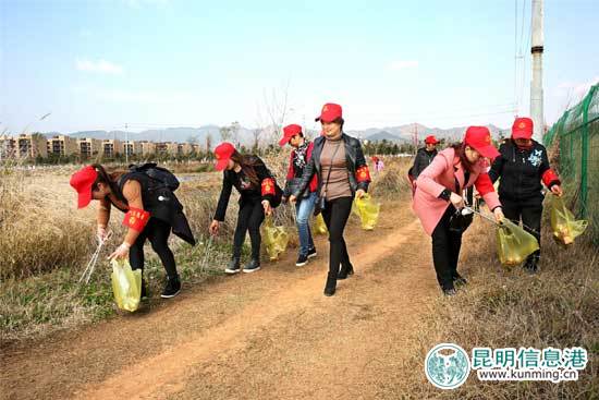 晋宁,妇联,彩鹮