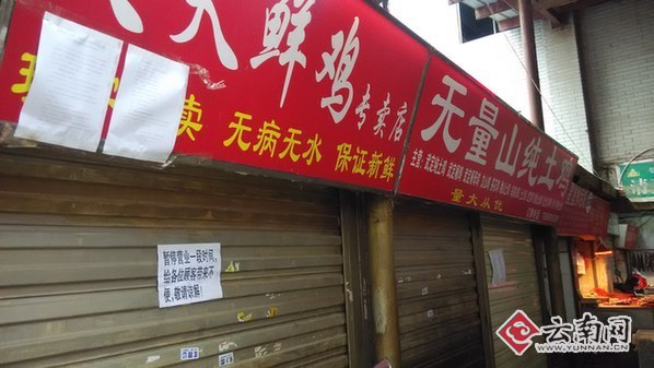 昆明二环内禁止活禽交易宰杀 商户称二环外也该禁