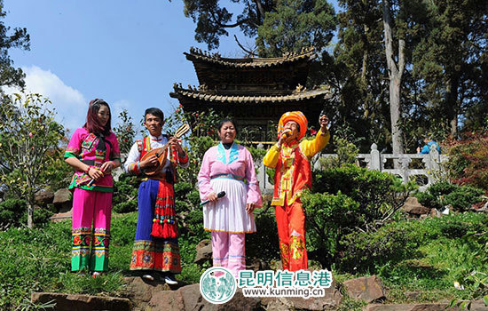 调子会开启金殿“赶花山”活动大幕