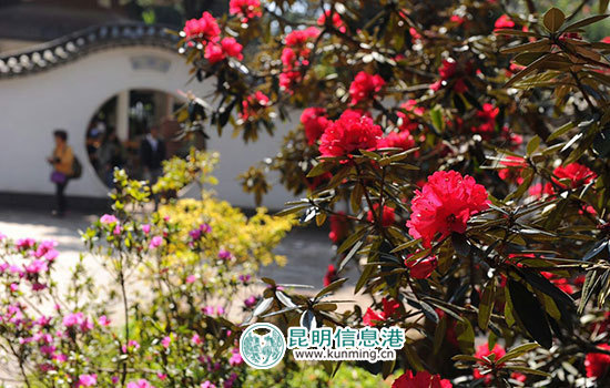 调子会开启金殿“赶花山”活动大幕