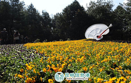 调子会开启金殿“赶花山”活动大幕