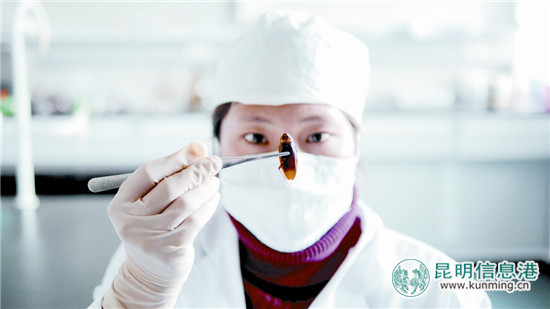 用蟑螂做药 一年卖出几个亿