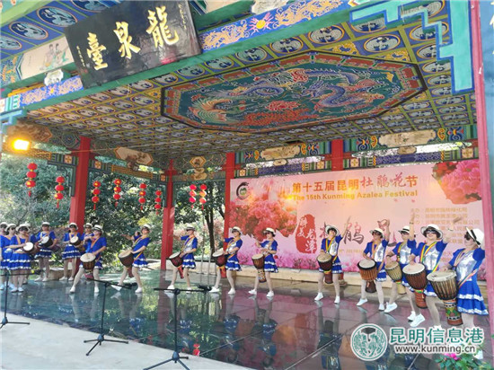 第十五届昆明杜鹃花节启幕 第十五届昆明杜鹃花节启幕