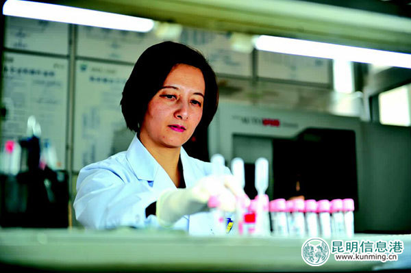 昆明市第一人民医院秦雯:盼望着不缺血的日子快点到来 昆明市第一人民医院秦雯:盼望着不缺血的日子快点到来