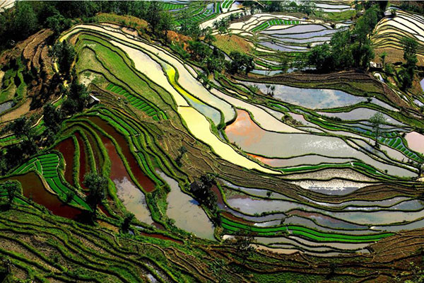 看梯田赏杜鹃玩急速滑雪 清明小长假足不出省也能玩尽兴