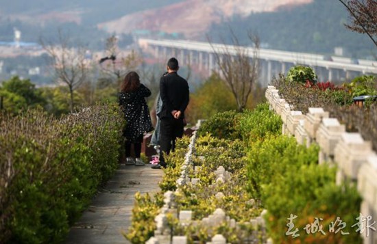 清明节前嵩明长松园推出花葬草坪葬 50个生态墓免费