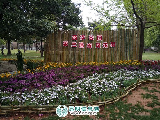 西华公园第三届鸢尾花展4月1日开幕 花展期间招募“小小植物医生”