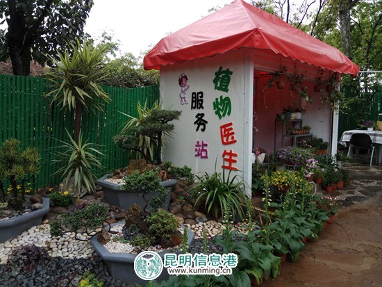 西华公园第三届鸢尾花展4月1日开幕 花展期间招募“小小植物医生”