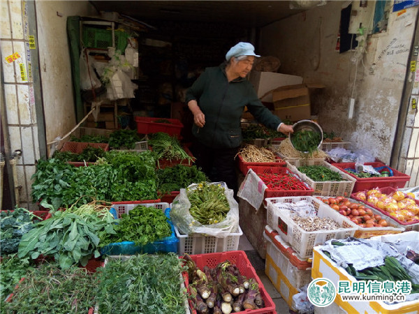 野菜,种类,香椿