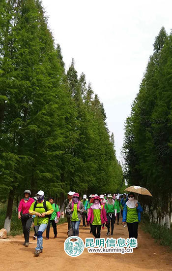 最美滇池·公益徒步环滇活动第二站在斗南启动