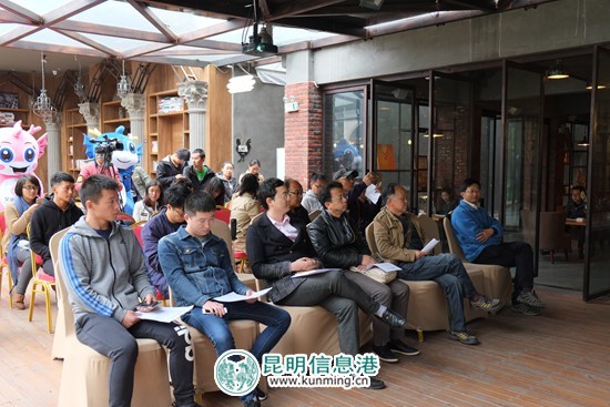 盘龙凝聚“大V”正能量 助力昆明创全国文明城市