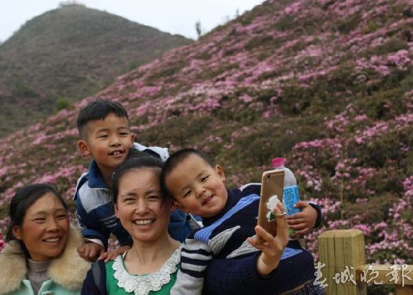 马鹿塘,杜鹃花,门票 马鹿塘,杜鹃花,门票