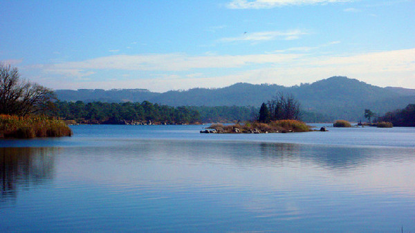 石林,会员卡,游客 石林,会员卡,游客