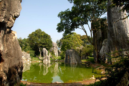 石林,会员卡,游客 石林,会员卡,游客