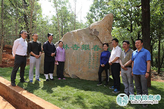 黑龙潭新植666株银杏林 与红枫搭配秋日调色盘美景