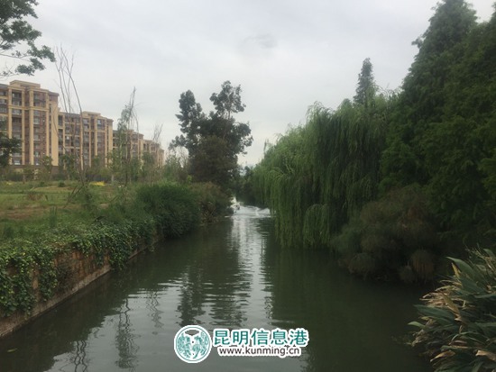 海河(广福路下段)黑臭水体整治工程6月开工 投资2.2亿元