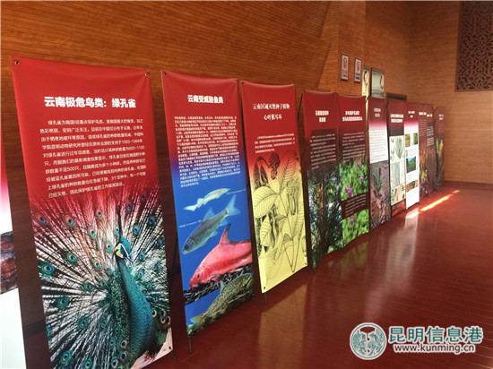 云南发布首个省级生物物种红色名录 云南发布首个省级生物物种红色名录