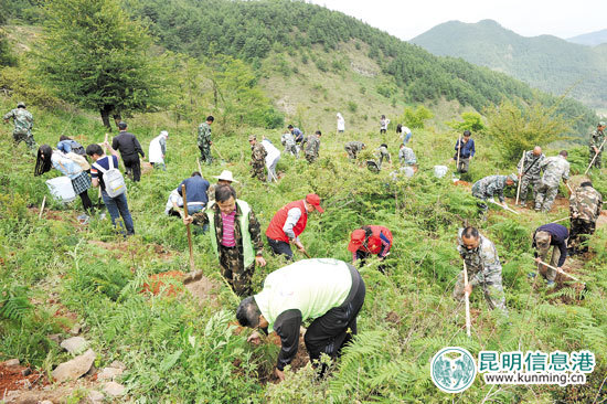 昆明市开展“关爱山川·义务植树”活动 