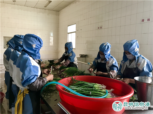 30余名农民工志愿者上街义务保洁 为“创文”助力添彩