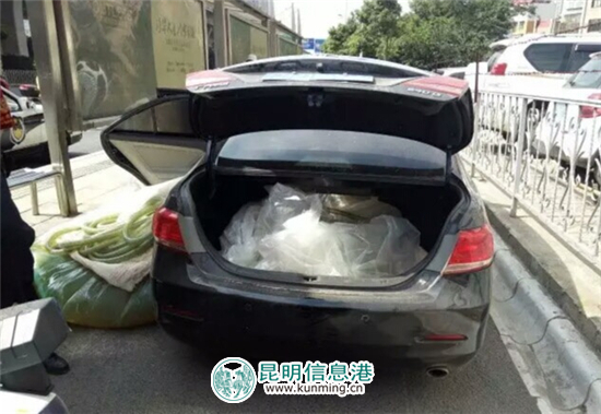 这车这人胆儿大 伪造车牌车内“存油”还冲卡