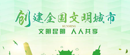 市人大常委会视察创文工作情况报告建议：在共建中共享 在共享中共建