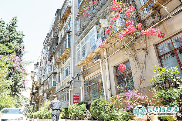 创建全国文明城市的盘龙作为：培育“文明细胞” 播撒文明种子