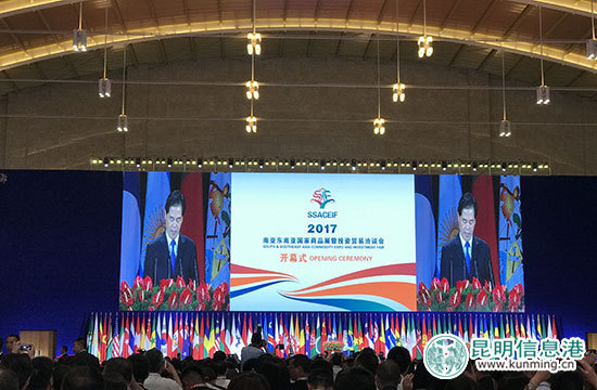 2017南亚东南亚国家商品展暨投资贸易洽谈会在昆开幕