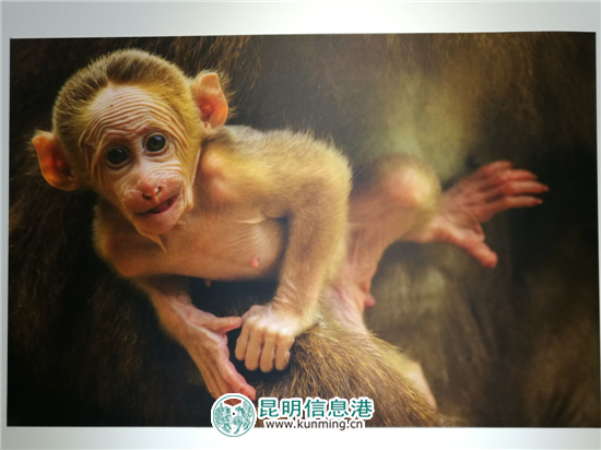 “探索大洋彼岸-美中旅游摄影展”在昆明市博物馆开展