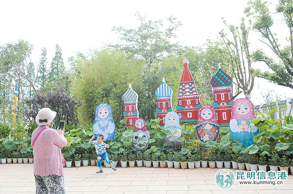 第31届荷花展布展“倒计时” 500多种荷花扮靓大观公园 第31届荷花展布展“倒计时” 500多种荷花扮靓大观公园