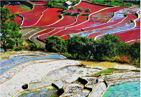 云南城投盯上戛洒旅游资源签约开发旅游小镇 云南城投盯上戛洒旅游资源签约开发旅游小镇