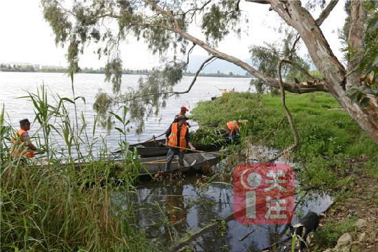 执法工作人员对残留木桩进行拆除