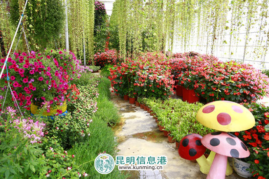 花仙子园区景观