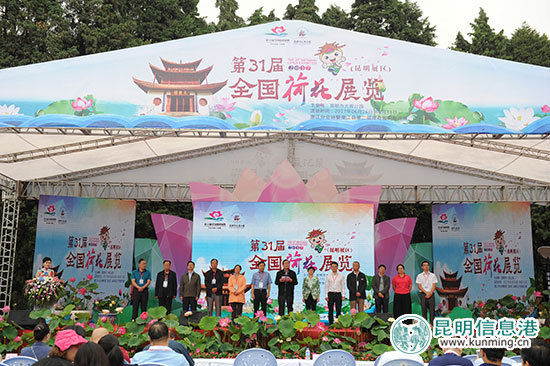 荷塘月色美不胜收 第31届全国荷花展在大观公园启幕