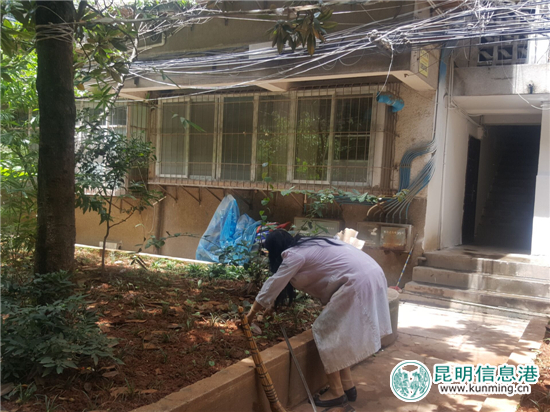 盘龙区创文先锋好党员栗秀英 助人是快乐之本