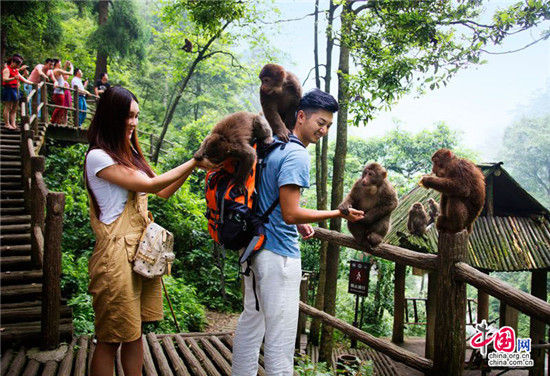 7月在峨眉山享受一场纯天然的盛筵 7月在峨眉山享受一场纯天然的盛筵
