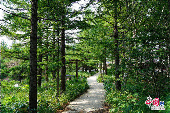 雾灵山 家庭亲子旅游不可多得的避暑胜地