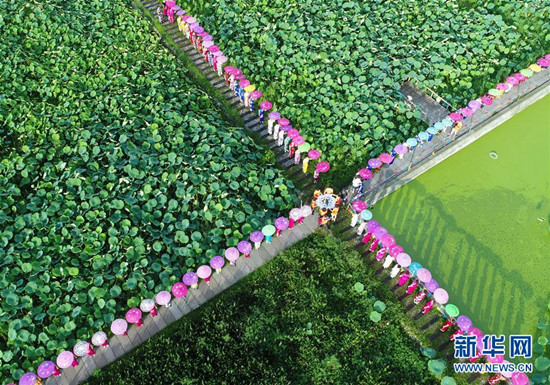 旗袍爱好者在四川省绵竹市九龙镇新龙村荷塘参加旗袍走秀 旗袍爱好者在四川省绵竹市九龙镇新龙村荷塘参加旗袍走秀