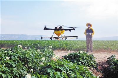 甘肃定西：无人机喷药防虫害