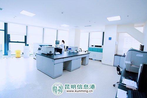 菲悦健康管理中心为云南著名书法家、画家提供免费公益体检活动